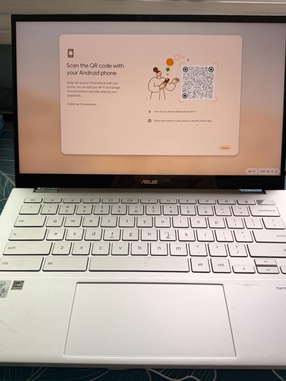 Laptop — ASUS Chromebook C436F